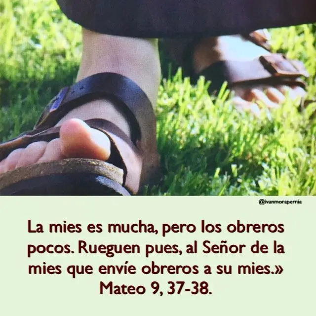 El Llamado al Servicio: Descifrando el Perfil del Obrero de Dios - Como debe ser el obrero de Dios obreros biblia - Como debe ser el obrero de Dios