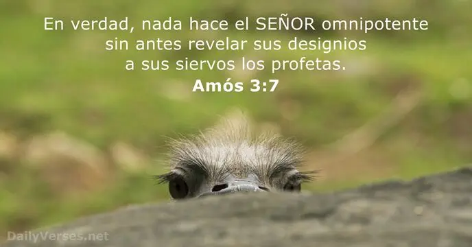 Las Palabras Proféticas: Un Viaje a Través de las Frases de los Profetas Bíblicos - Cómo es el dicho del profeta frases de profetas de la biblia - Cómo es el dicho del profeta