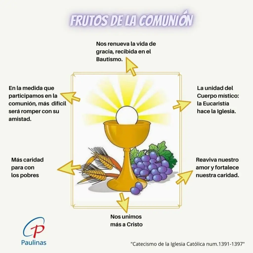 La Misa: Un Viaje de Fe para Niños de Primera Comunión - Cómo explicar a los niños el sacramento de la Eucaristía explicacion de la misa para niños de primera comunion - Cómo explicar a los niños el sacramento de la Eucaristía