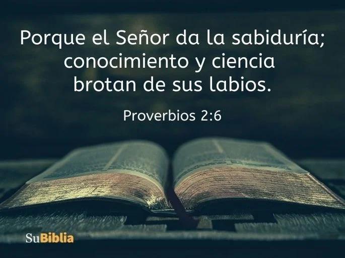 ¿Qué es un Proverbio de la Biblia? - Cómo explicar el proverbio que es un proverbio de la biblia - Cómo explicar el proverbio