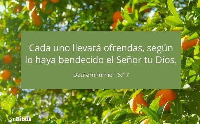 Diezmos y Ofrendas: Un Viaje de Fe y Bendición - Cómo explicar los diezmos y ofrendas diezmos y ofrendas segun la biblia - Cómo explicar los diezmos y ofrendas