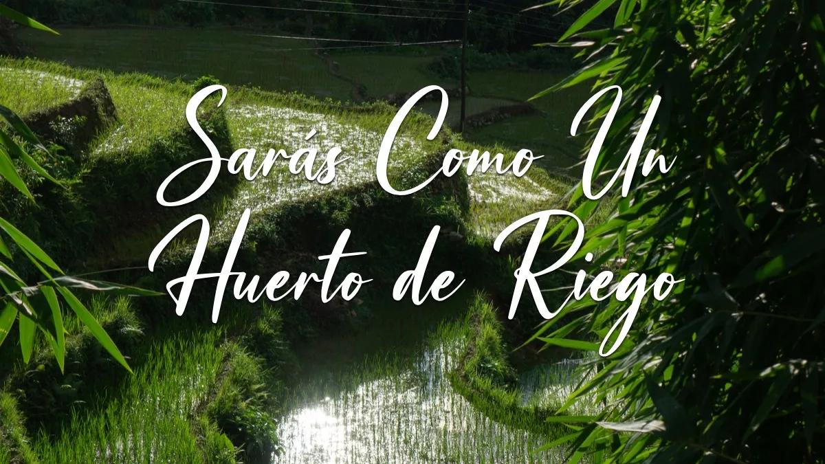 El Huerto de Riego en la Biblia: Una Metáfora de Abundancia y Esperanza - Cómo huerto de riego la Biblia huerto de riego biblia - Cómo huerto de riego la Biblia