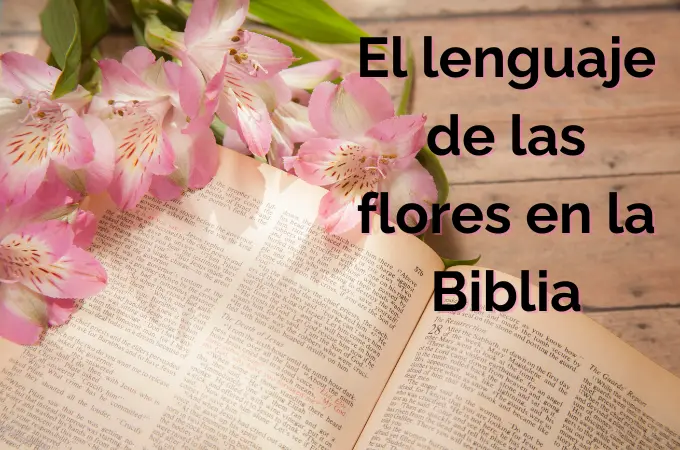 Las Flores en la Biblia: Un Símbolo de Belleza, Fragilidad y Esperanza - Como la flor texto biblico flores biblia - Como la flor texto biblico