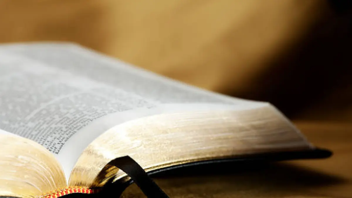 Descifrando la Biblia: Una Tutorial a sus Partes y Contenidos - Cómo se clasifican los libros de la Biblia partes de la biblia - Cómo se clasifican los libros de la Biblia