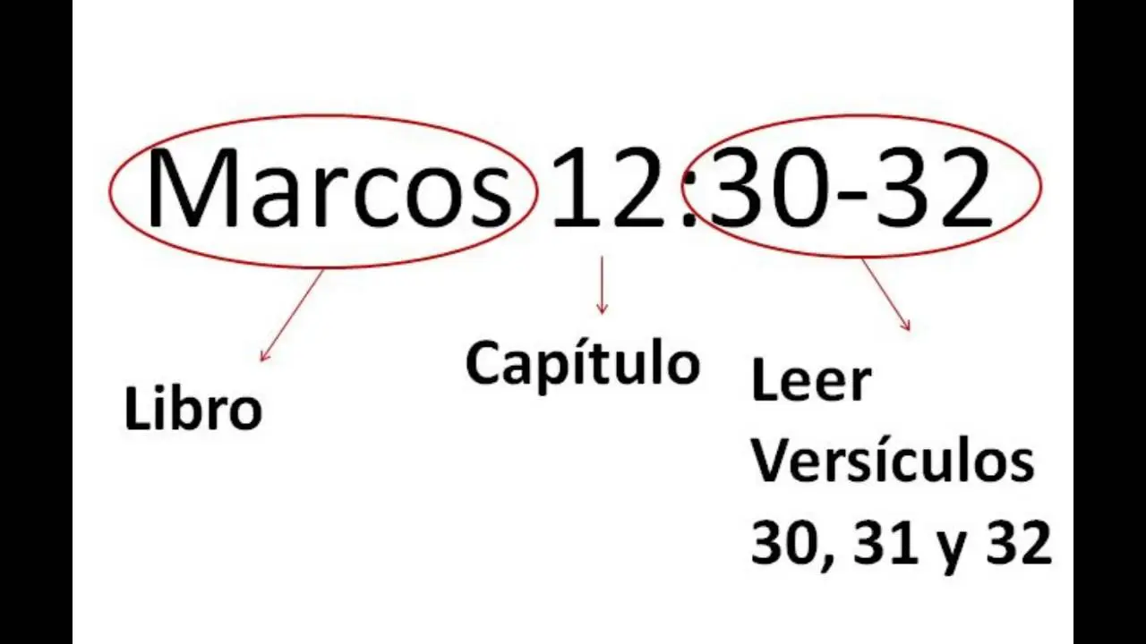 Cómo Buscar en la Biblia para Encontrar la Sabiduría Divina - Cómo se debe buscar en la Biblia como se busca en la biblia - Cómo se debe buscar en la Biblia