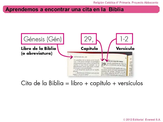 Cómo Buscar en la Biblia para Encontrar la Sabiduría Divina - Cómo se debe buscar una cita bíblica en la Biblia como se busca en la biblia - Cómo se debe buscar una cita bíblica en la Biblia