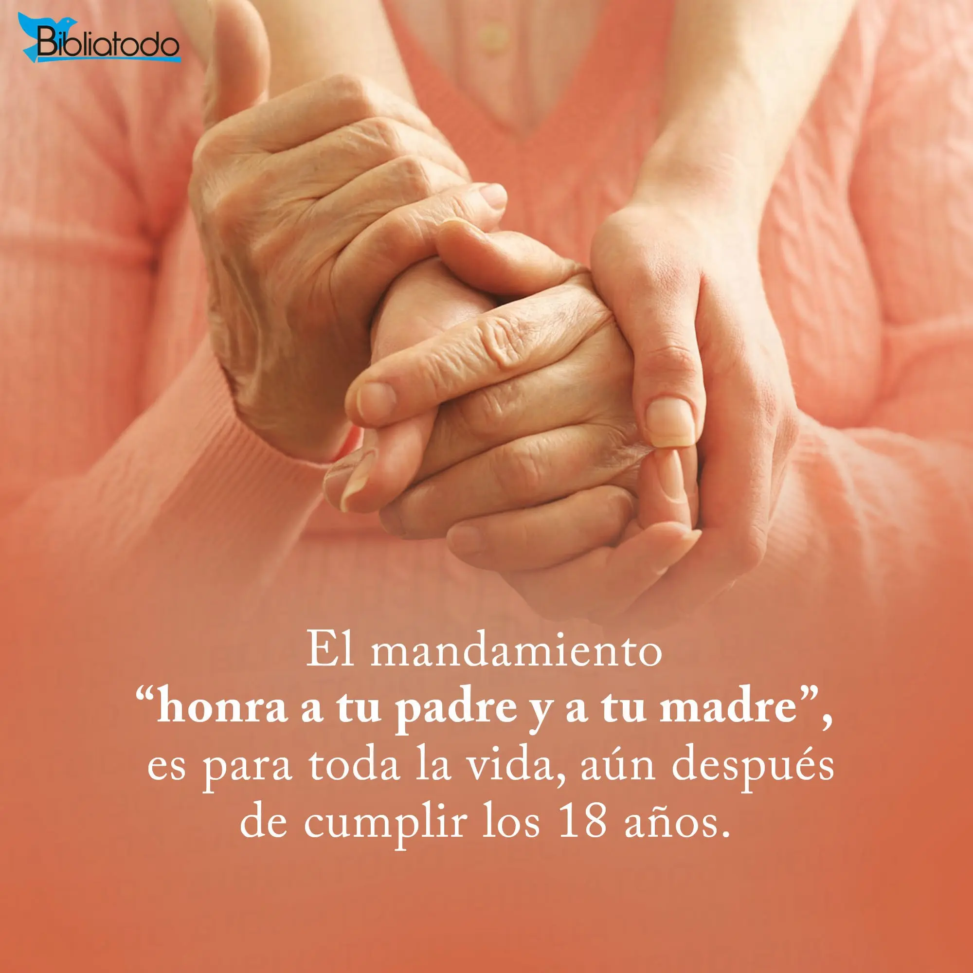 Honrar a la Madre Biblia: Un Llamado a la Reverencia y la Obediencia - Cómo se debe honrar a una madre honrar a la madre biblia - Cómo se debe honrar a una madre