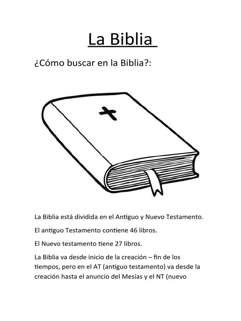 Cómo Buscar en la Biblia para Encontrar la Sabiduría Divina - Cómo se lee una cita bíblica ejemplos como se busca en la biblia - Cómo se lee una cita bíblica ejemplos
