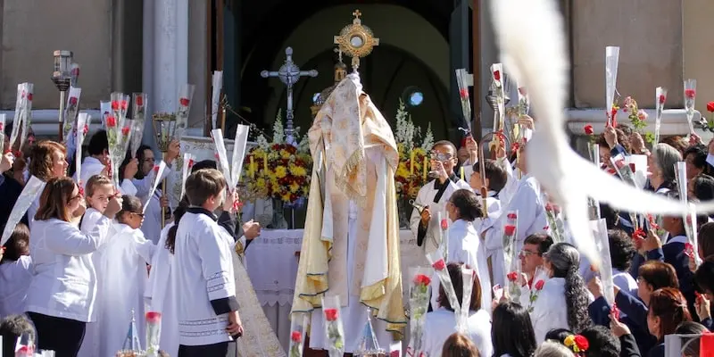 El Prelado Supremo de la Iglesia Católica Romana: El Papa - Cómo se llama el Prelado superior de una diócesis católica prelado supremo de la iglesia católica romana - Cómo se llama el Prelado superior de una diócesis católica
