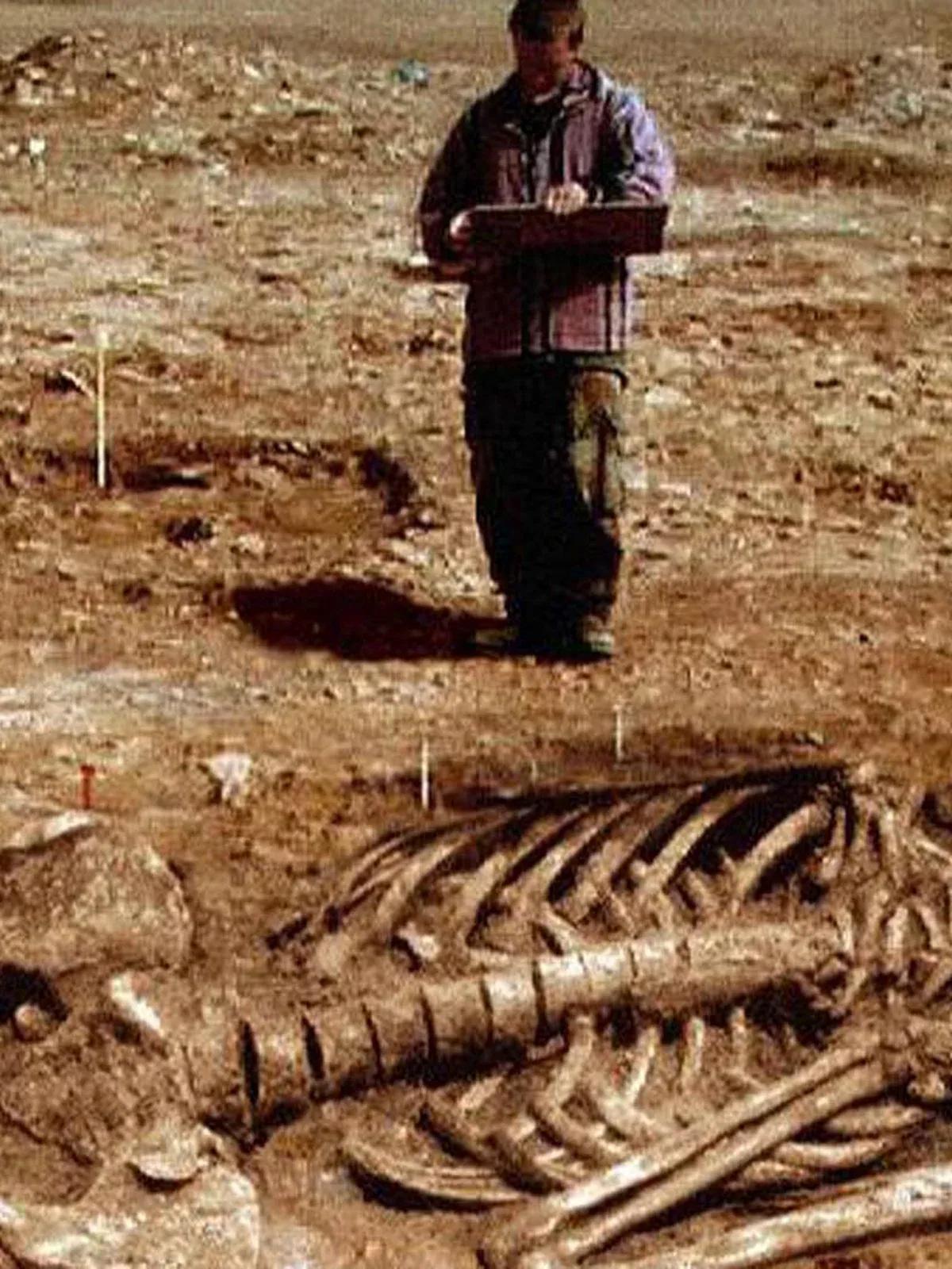 ¿Existieron los Gigantes en la Tierra Según la Biblia? - Cómo se llamaban los gigantes que habitaron la tierra existieron los gigantes en la tierra segun la biblia - Cómo se llamaban los gigantes que habitaron la tierra