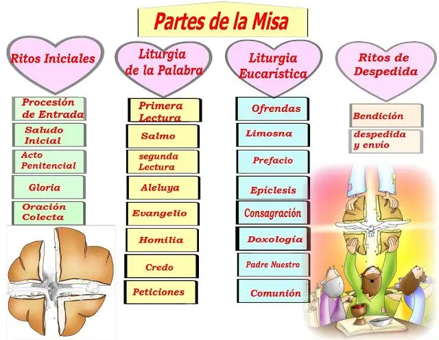 La Misa Católica: Un Viaje de Fe y Celebración - Cómo se organiza la misa catolica etapas de una misa catolica - Cómo se organiza la misa catolica