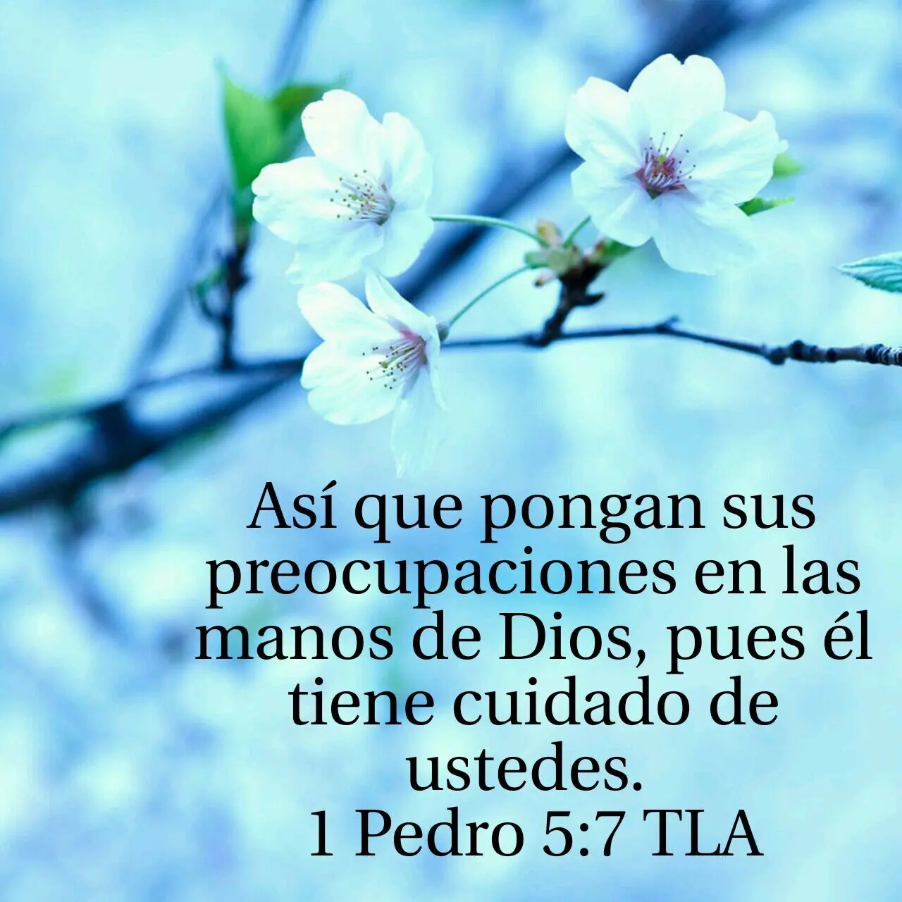 El Saludo a la Biblia: Un gesto de reverencia y respeto - Cómo se saluda a la Biblia saludo a la biblia - Cómo se saluda a la Biblia