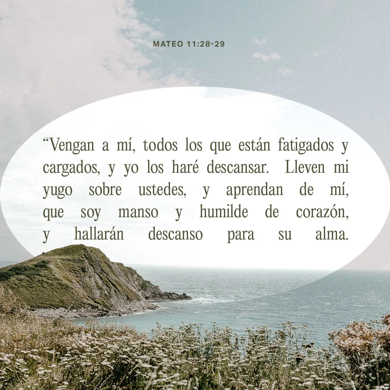 Imitadme a Mí: Un Estudio Bíblico sobre 1 Corintios 11 - Como yo imito a Cristo imitadme a mi biblia - Como yo imito a Cristo