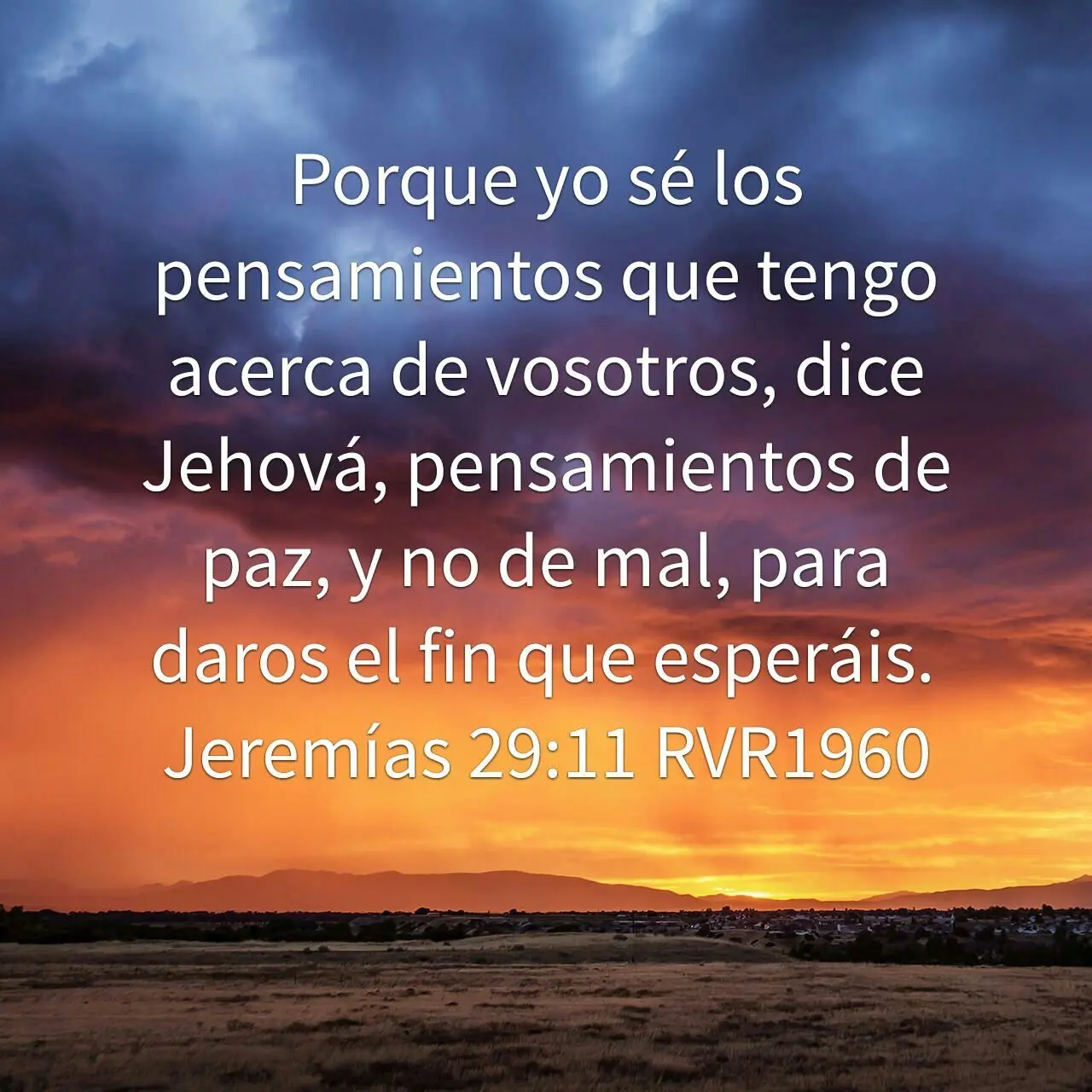 La Palabra de Hoy: Un Viaje Diario a la Sabiduría de la Biblia - Cuál es el proverbio de hoy la palabra de hoy de la biblia reina valera - Cuál es el proverbio de hoy