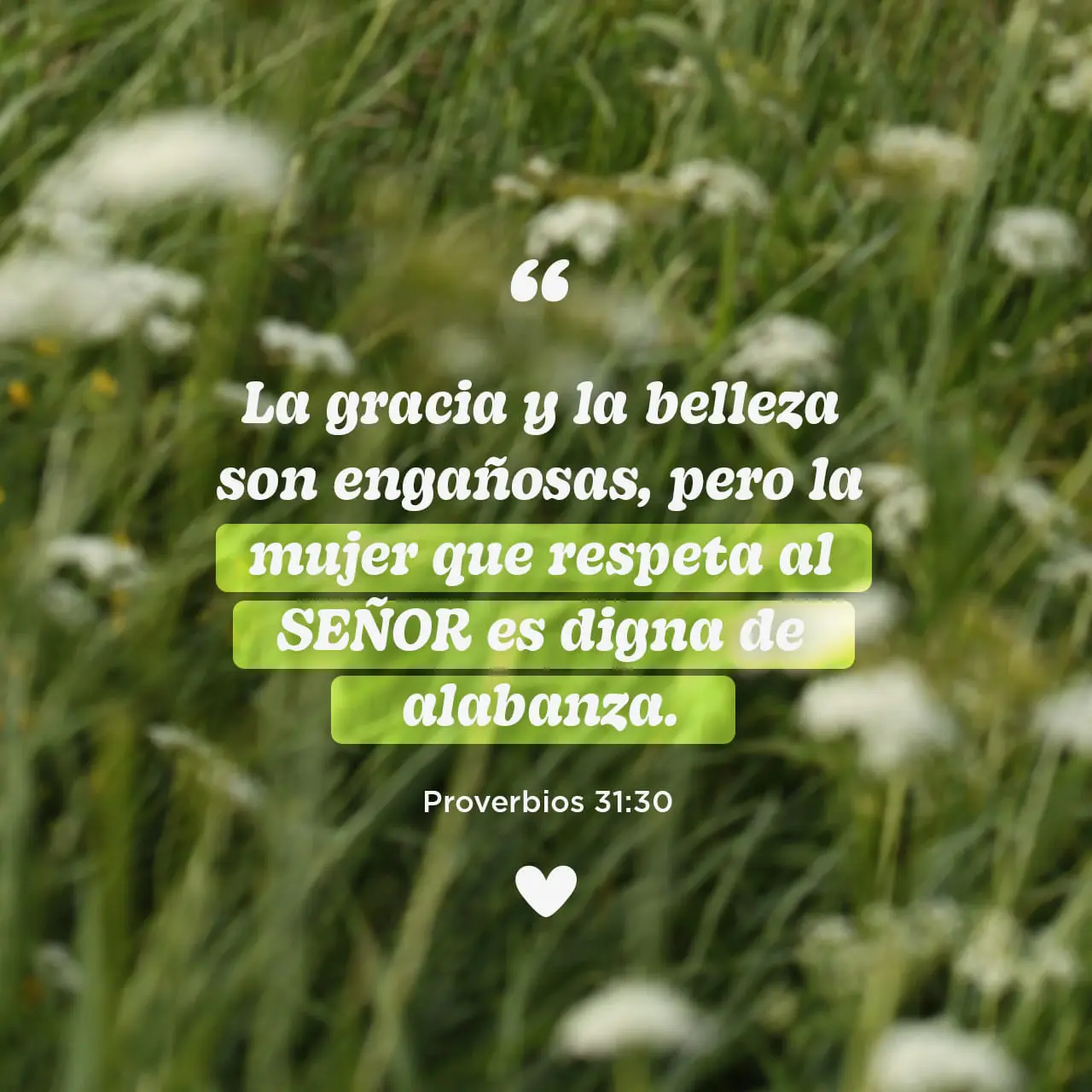 frases de la biblia cortas para reflexionar - Cuál es el proverbio más bonito de la Biblia