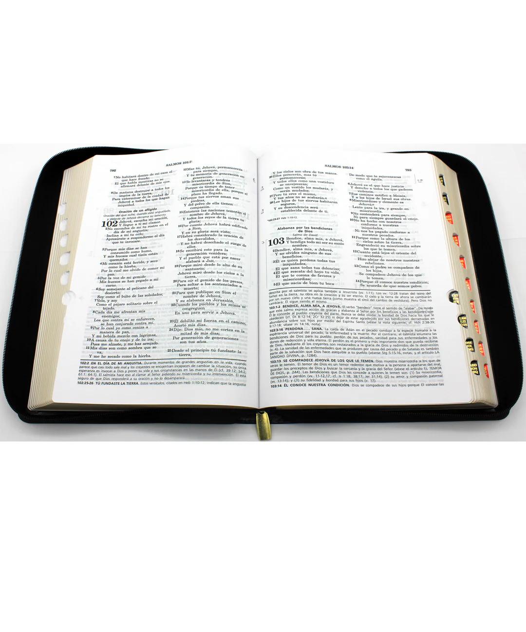 ¿Cuál es la mitad de la Biblia Reina Valera? Una entender su estructura - Cuál es el Salmo q está en medio de la Biblia cual es la mitad de la biblia reina valera - Cuál es el Salmo q está en medio de la Biblia