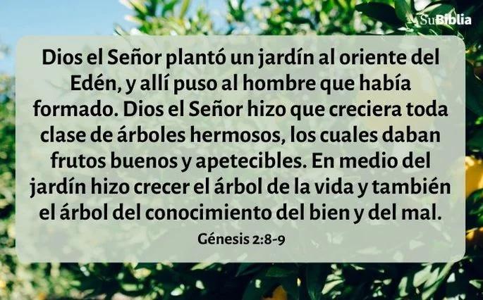 El Sentido de la Vida Según la Biblia - Cuál es el sentido de la vida para Dios cual es el sentido de la vida segun la biblia - Cuál es el sentido de la vida para Dios