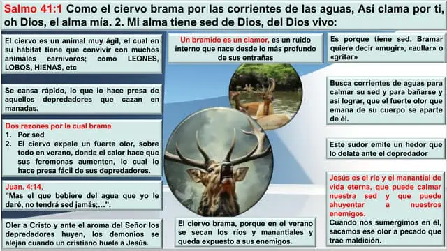 ¿Qué significa bramar en la Biblia? - Cuál es el significado de bramar que es bramar en la biblia - Cuál es el significado de bramar