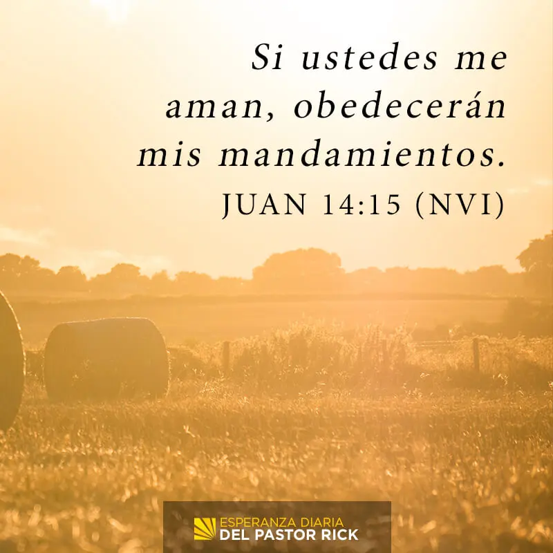 El concepto de obediencia según la Biblia: Una exploración profunda - Cuál es el significado de la obediencia concepto de obediencia segun la biblia - Cuál es el significado de la obediencia