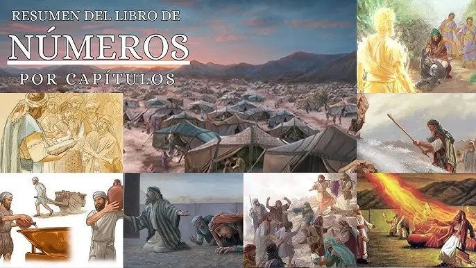 El Libro de Números: Una Mirada Profunda al Viaje del Pueblo de Israel - Cuál es el tema principal del libro de Números numeros biblia - Cuál es el tema principal del libro de Números