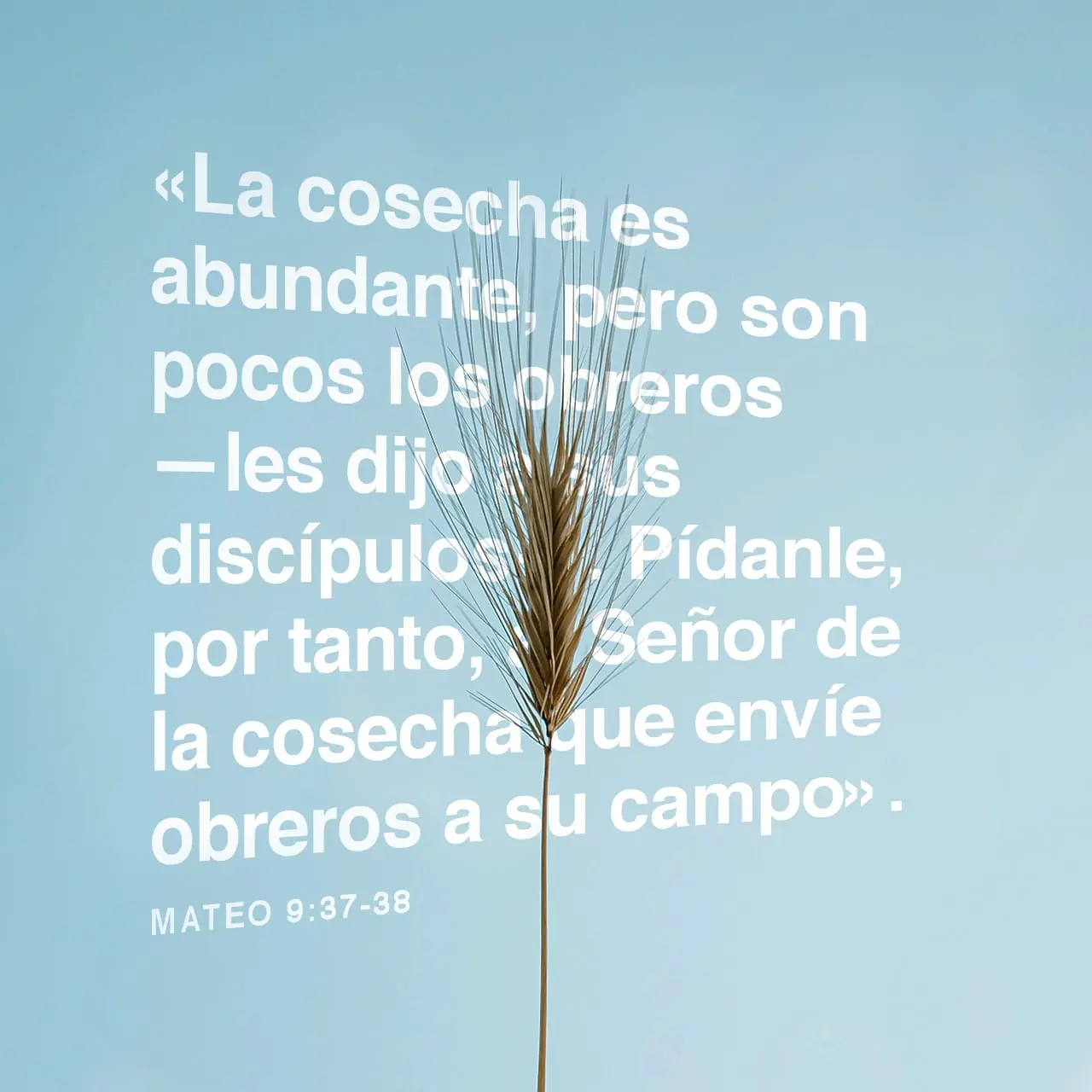 El Obrero en la Iglesia: Un Rol Esencial en la Historia y el Presente - Cuál es el trabajo de un obrero en la Iglesia obrero segun la biblia - Cuál es el trabajo de un obrero en la Iglesia