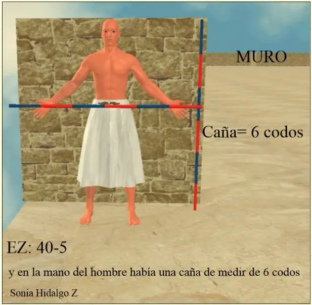 La Caña de Medir en la Biblia: Un Símbolo de Justicia y Juicio - Cuál es la caña de medir caña de medir en la biblia - Cuál es la caña de medir