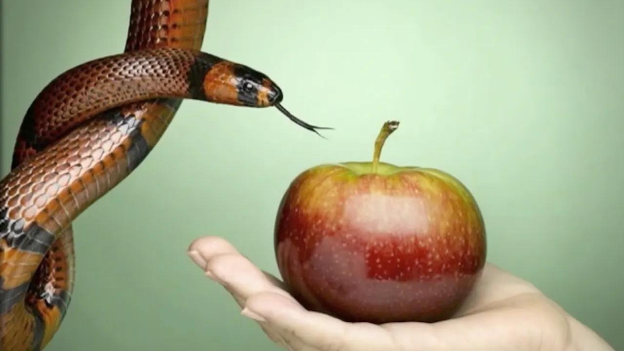 ¿Qué Dice la Biblia del Pecado? - Cuál es la consecuencia del pecado según la Biblia que dice la biblia del pecado - Cuál es la consecuencia del pecado según la Biblia