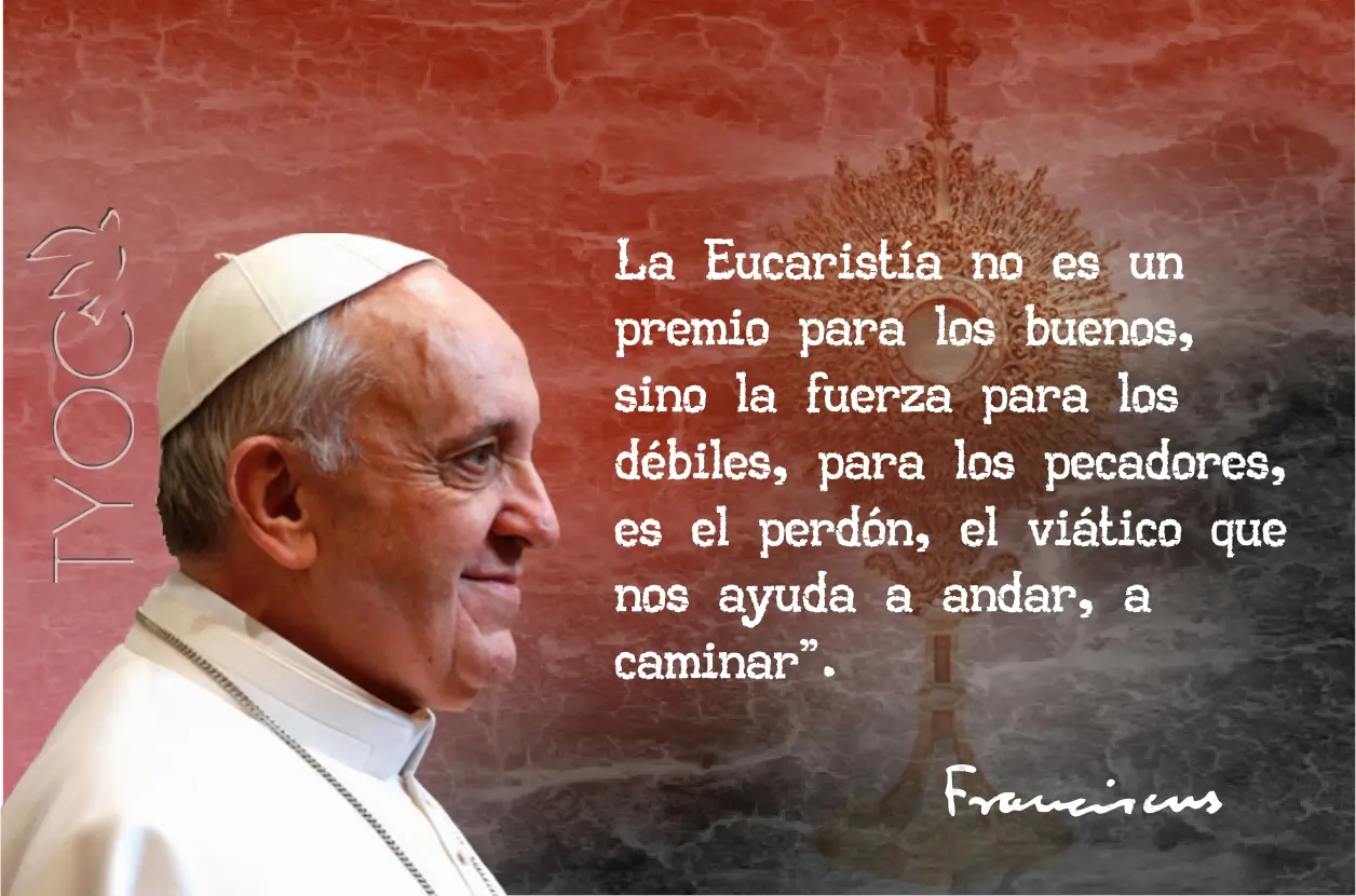 Las Palabras del Papa Francisco en la Misa: Un Mensaje de Esperanza y Amor - Cuál es la frase del Papa Francisco palabras del papa hoy en la misa - Cuál es la frase del Papa Francisco