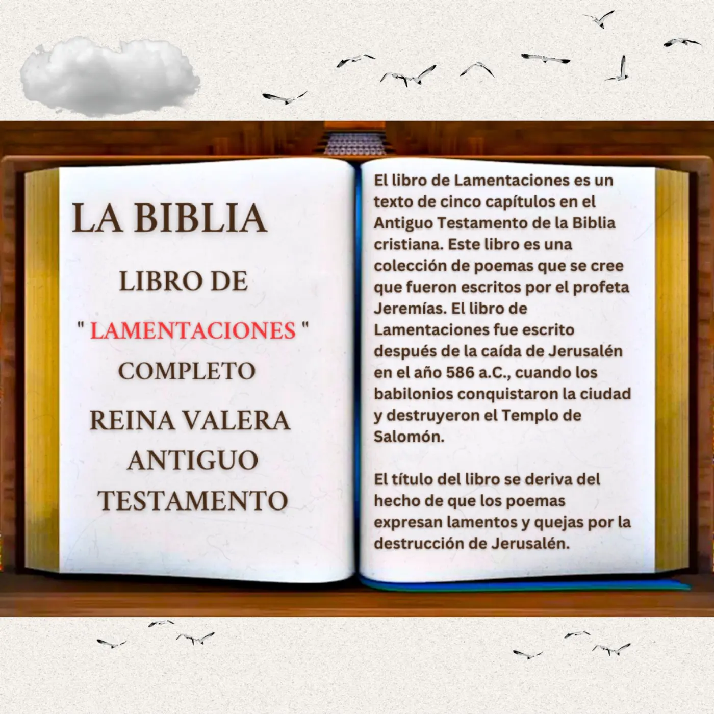 ¿Cuál es la mitad de la Biblia Reina Valera? Una entender su estructura - Cuál es la mitad de los libros de la Biblia cual es la mitad de la biblia reina valera - Cuál es la mitad de los libros de la Biblia