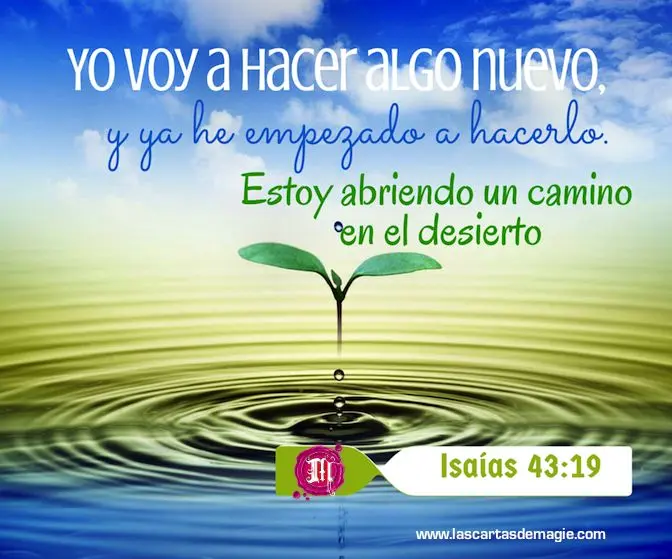 La Palabra Profética en la Biblia: Un Faro en la Oscuridad - Cuál es la palabra profética más segura palabra profetica en la biblia - Cuál es la palabra profética más segura
