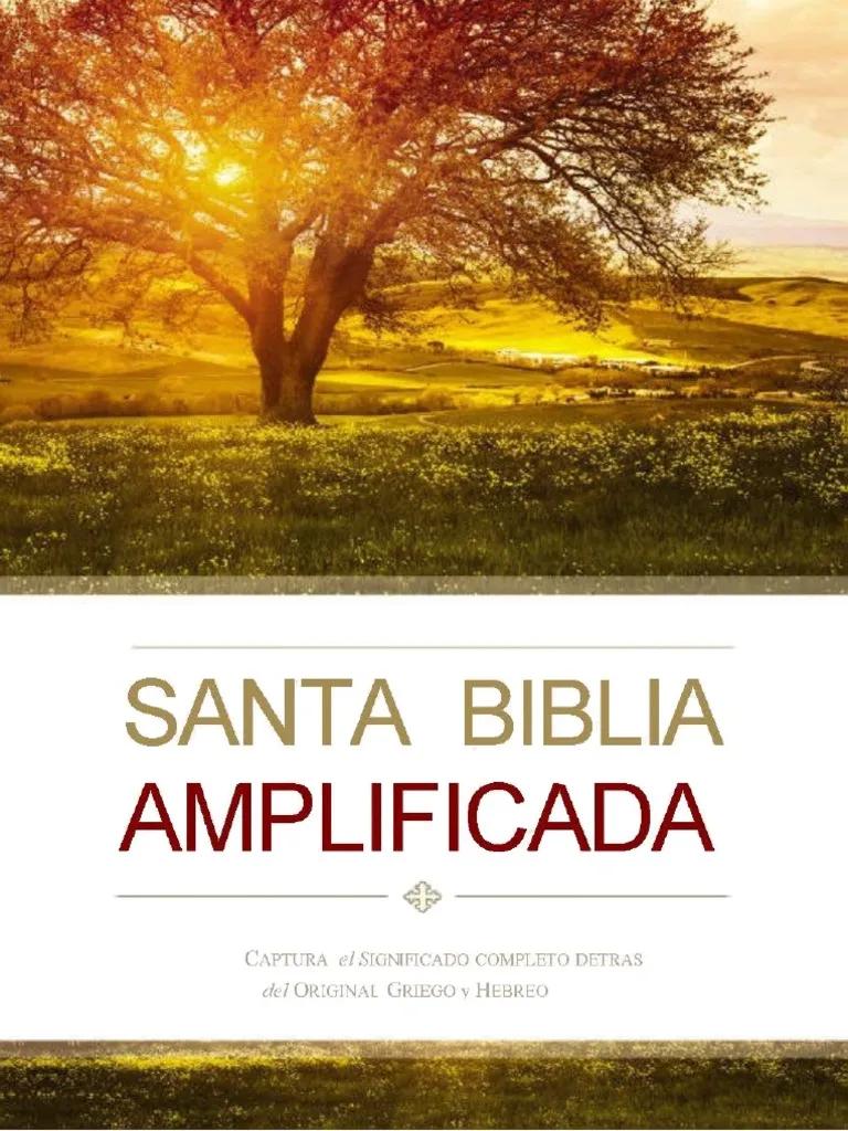 La Biblia Amplificada en Línea: Una Experiencia de Lectura Profunda - Cuál es la versión amplificada de la Biblia biblia amplificada en linea - Cuál es la versión amplificada de la Biblia