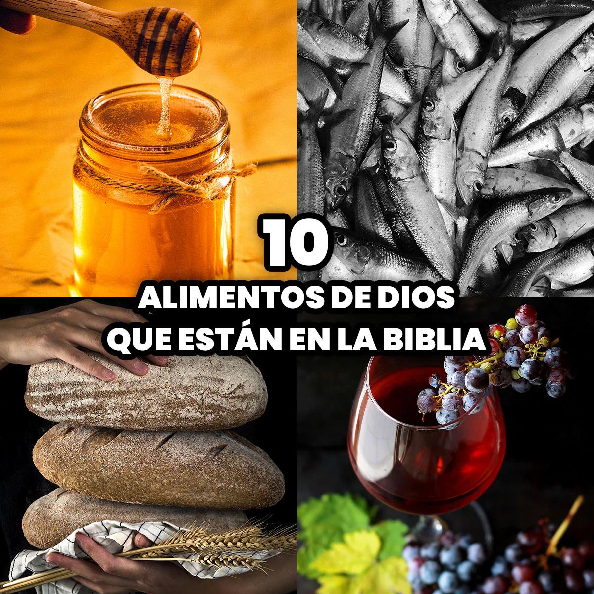 Un Viaje Culinario a través de la Biblia: Los Alimentos que Nutrieron a Nuestros Antepasados - Cuáles son los alimentos de la Biblia alimentos de la biblia - Cuáles son los alimentos de la Biblia
