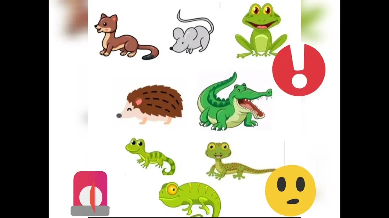 Animales Impuros en la Biblia - Cuáles son los animales puros animales impuros de la biblia - Cuáles son los animales puros