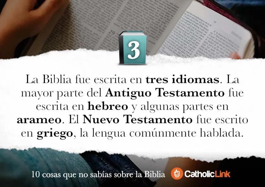 Los Tesoros Ocultos de la Biblia: Cosas Interesantes que Tal Vez No Conocías - Cuáles son los datos importantes de la Biblia cosas de la biblia interesantes - Cuáles son los datos importantes de la Biblia