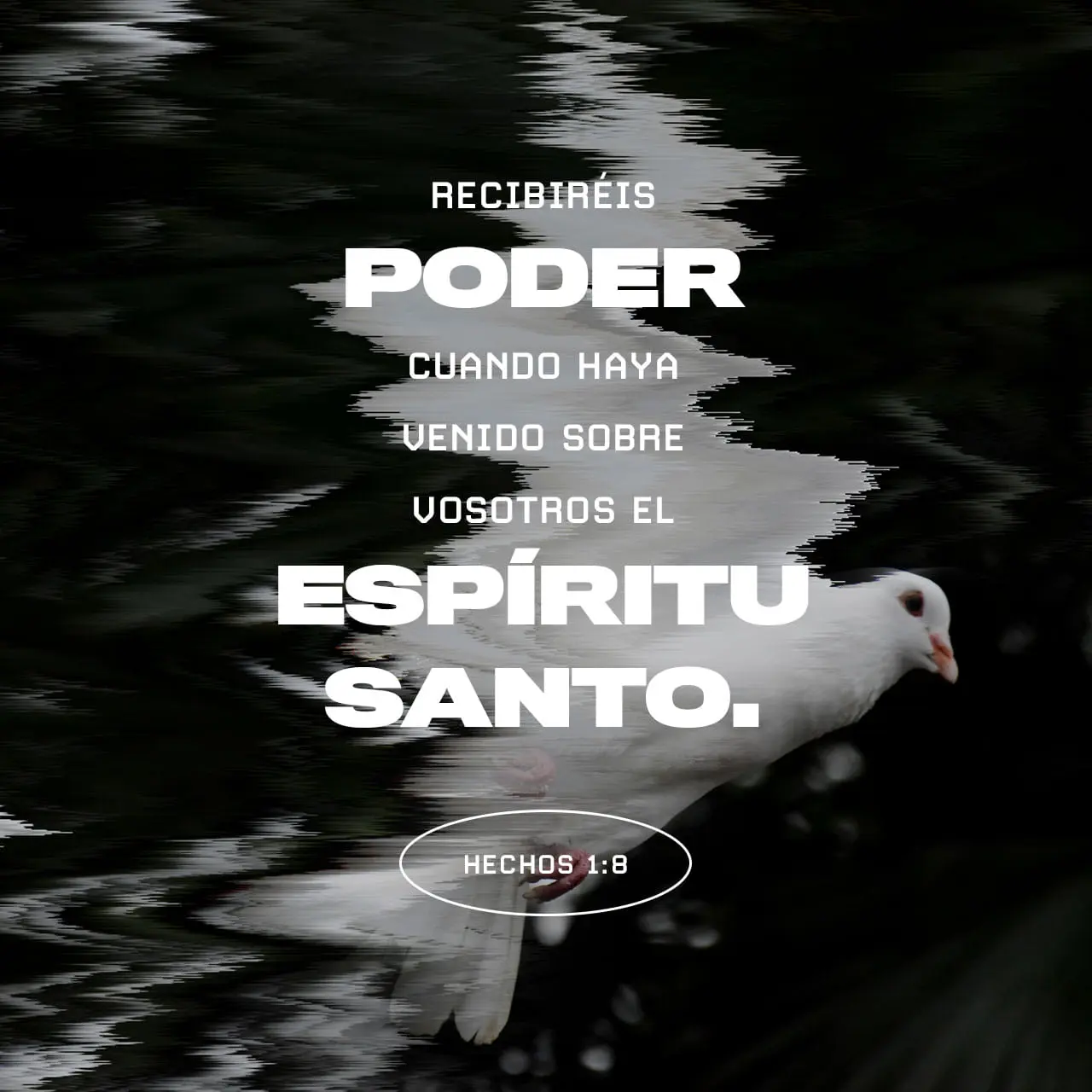 La Biblia Reina Valera: Hechos, Historia y Significado - Cuáles son los errores de la Biblia Reina Valera biblia reina valera hechos - Cuáles son los errores de la Biblia Reina Valera