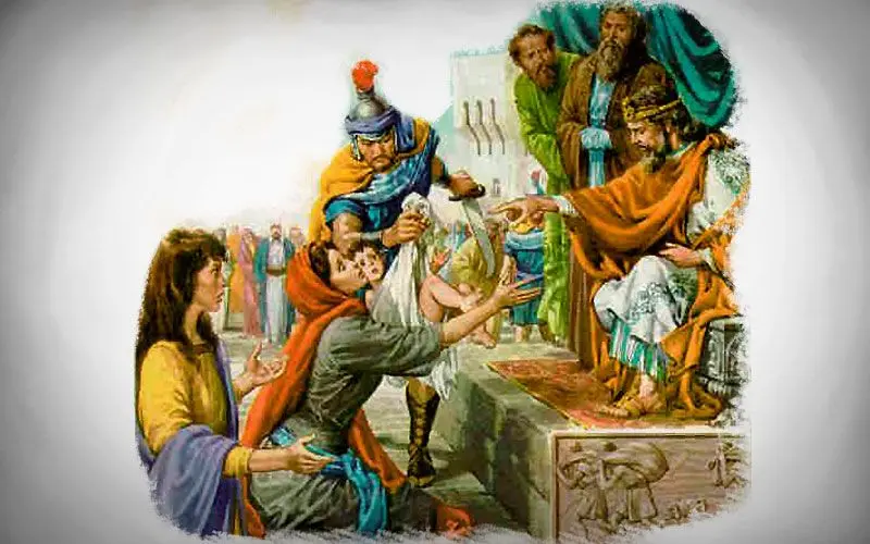 Los Libros Históricos de la Biblia: Un Viaje a Través del Tiempo - Cuáles son los libro historico de la Biblia libros historicos de la biblia - Cuáles son los libro historico de la Biblia