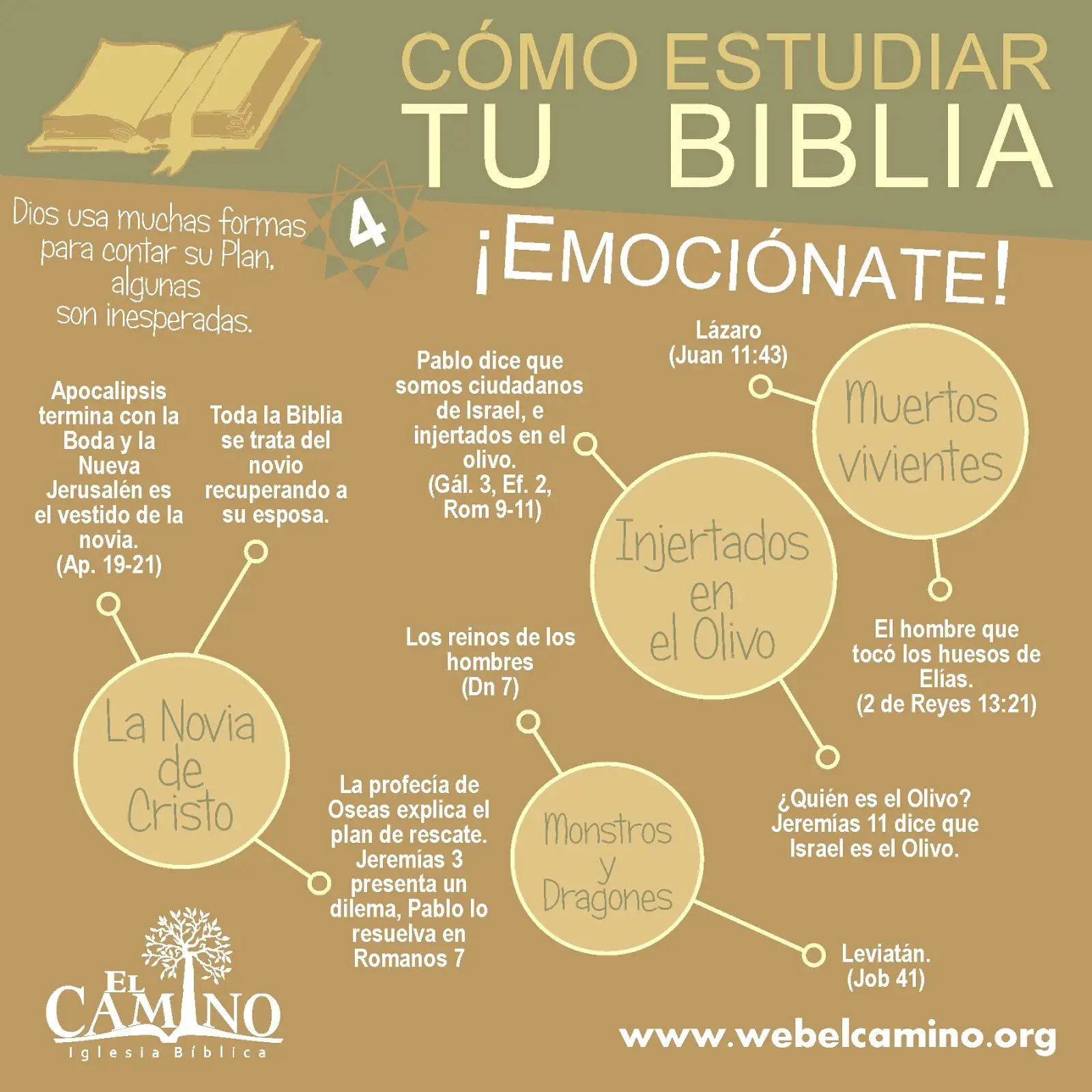 Métodos para Estudiar la Biblia - Cuántas formas de estudiar la Biblia hay metodos para estudiar la biblia - Cuántas formas de estudiar la Biblia hay