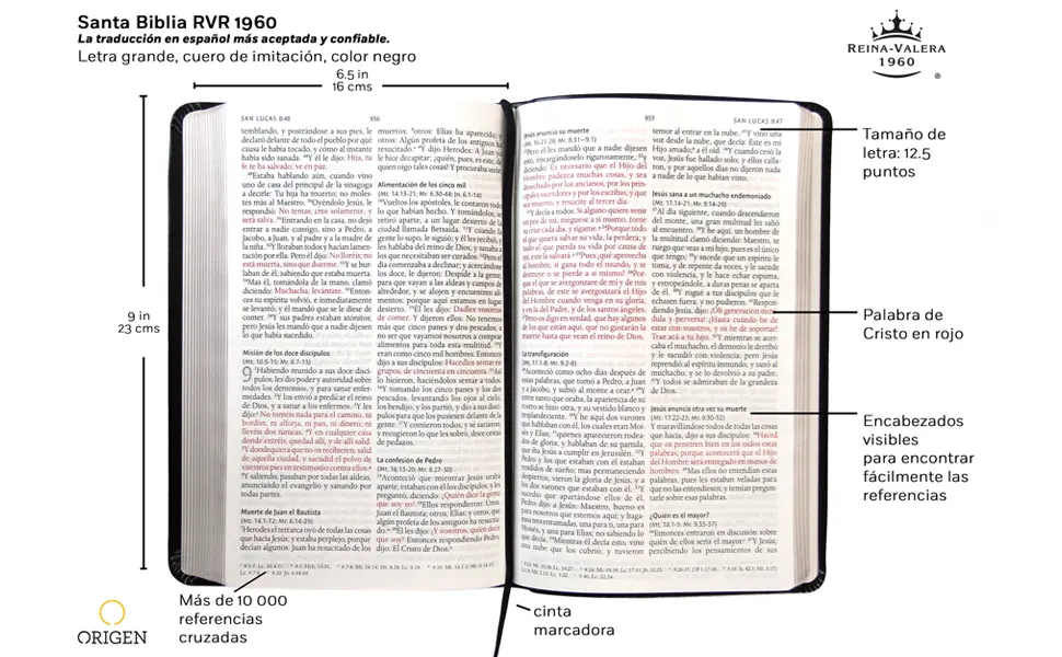 Las Páginas de la Biblia: Un Viaje a través de la Historia y la Fe - Cuántas páginas tiene la Biblia Reina Valera 1960 paginas de la biblia - Cuántas páginas tiene la Biblia Reina Valera 1960