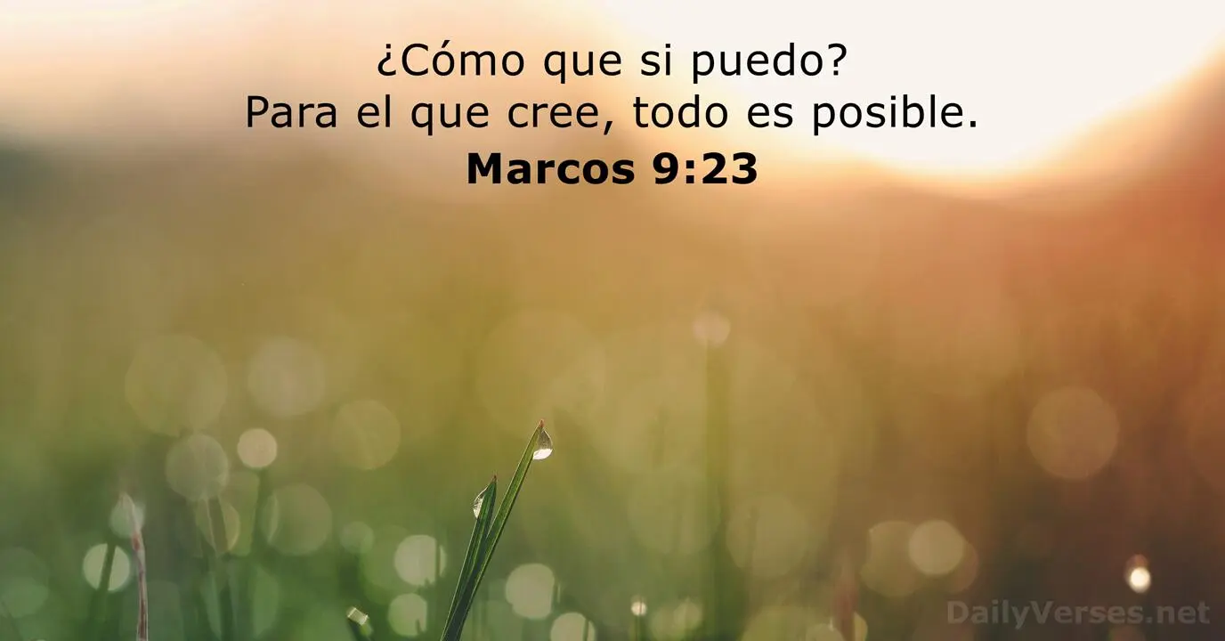 palabra creer en la biblia - Cuántas veces aparece en la Biblia la palabra cree