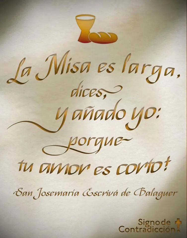 La Misa Larga: Analizando la Duración de la Celebración Eucarística - Cuánto dura una misa larga misa larga - Cuánto dura una misa larga