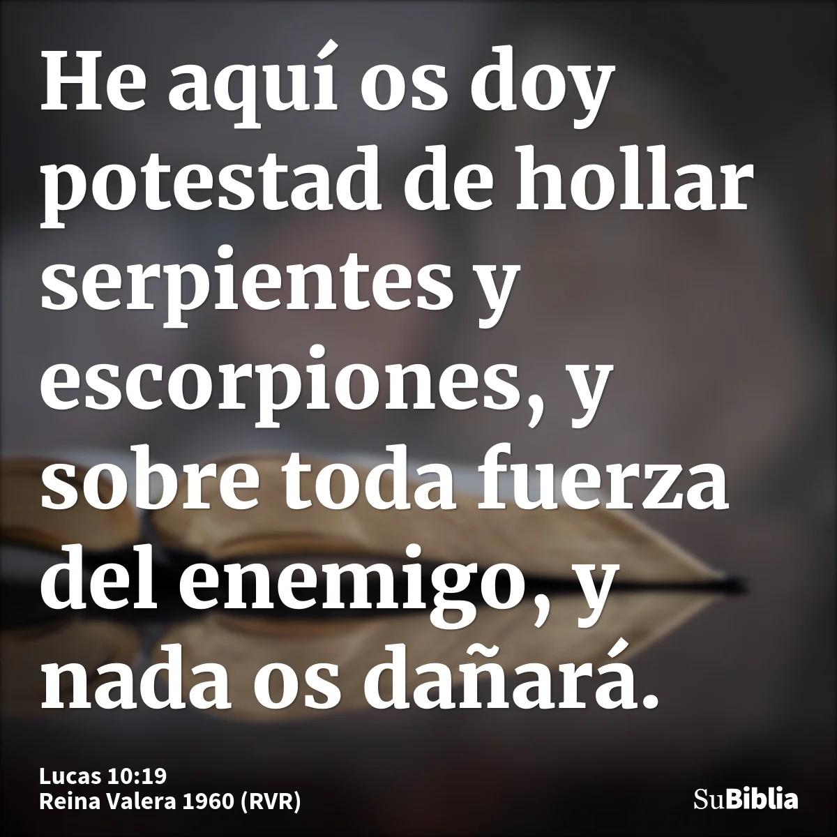 ¿Qué significa 019872zjspixorhollar serpientes019872zjspixor en la Biblia? Descifrando un pasaje controvertido - Donde dice en la Biblia hollar serpientes que es hollaras en la biblia - Donde dice en la Biblia hollar serpientes