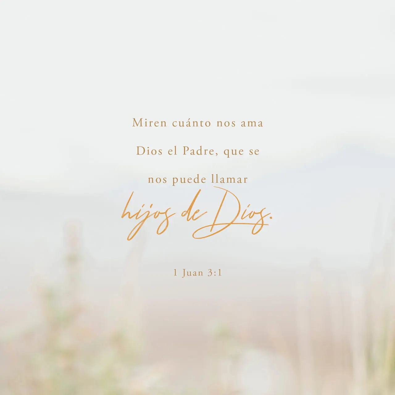 mirad como se aman biblia catolica - Donde dice en la Biblia Mirad cual amor nos ha dado el Padre