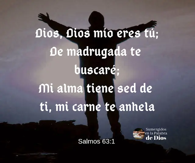 La Madrugada en la Biblia: Un Tiempo de Encuentro con Dios - Donde dice en la Biblia orar de madrugada madrugada en la biblia - Donde dice en la Biblia orar de madrugada