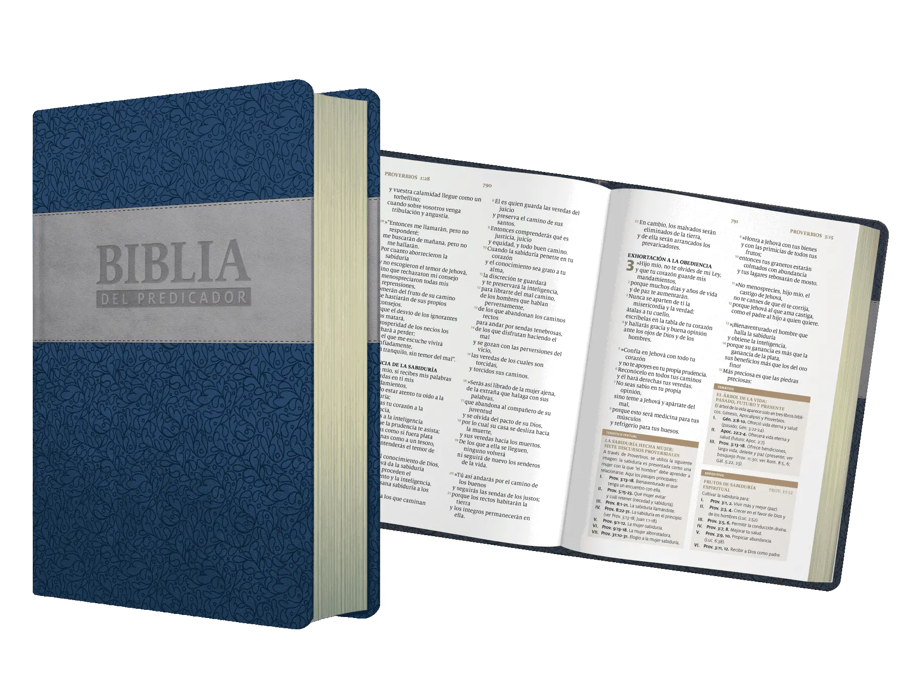 predicar biblia - Donde dice en la Biblia que debemos predicar