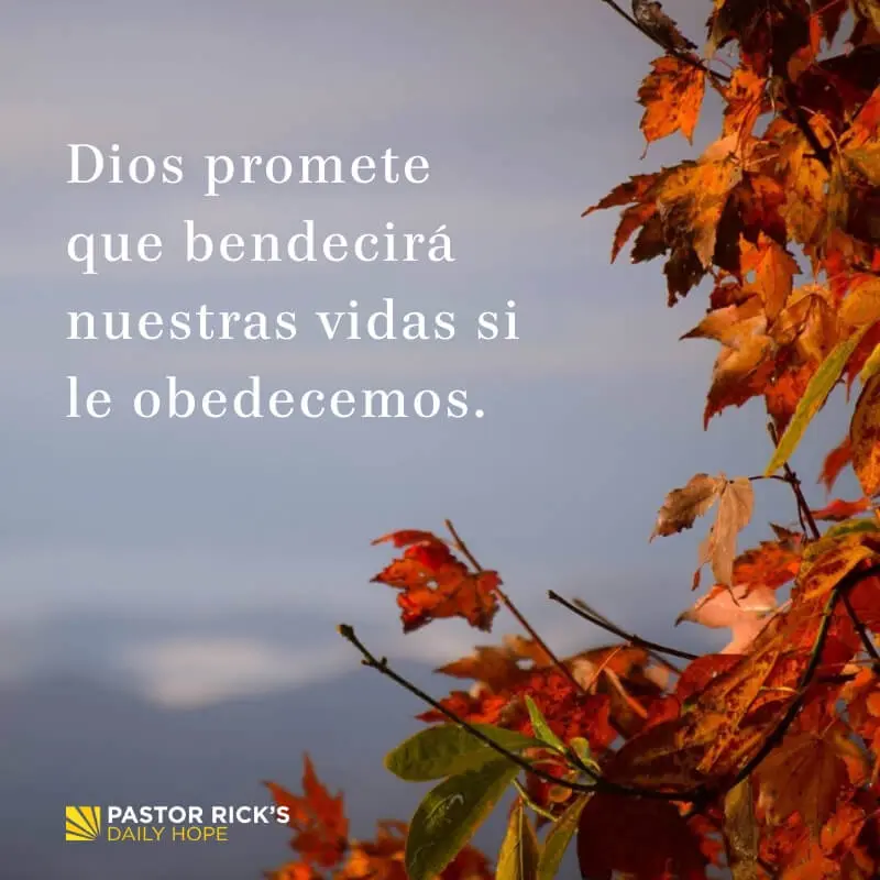 Dios Quiere Bendecirte: Una Promesa Bíblica - Donde dice en la Biblia que Dios nos quiere bendecir dios quiere bendecirte biblia - Donde dice en la Biblia que Dios nos quiere bendecir