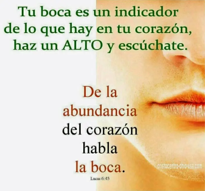 La Lengua Sin Hueso: Un Estudio Bíblico sobre el Poder de las Palabras - Donde dice en la Biblia que la lengua no tiene hueso la lengua no tiene hueso biblia - Donde dice en la Biblia que la lengua no tiene hueso