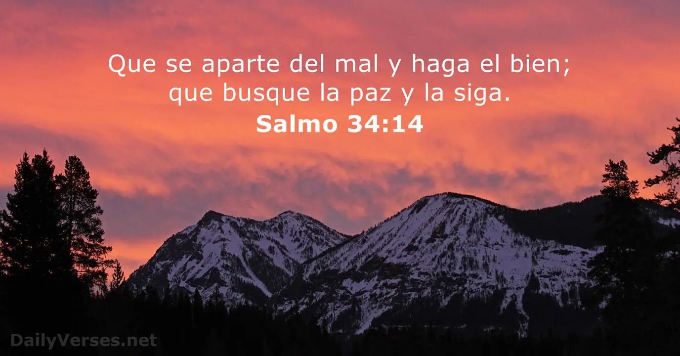 ¿Qué Quieres Que Te Haga Biblia?: Analizando la Fe y el Poder de la Oración - Donde dice en la Biblia qué quieres que te haga que quieres que te haga biblia - Donde dice en la Biblia qué quieres que te haga