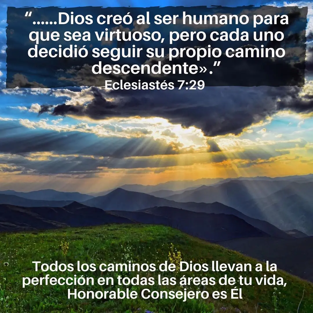 El Libre Albedrío en la Biblia: Un Debate Teológico - Donde dice en la Biblia que tenemos libre albedrío que dice la biblia del libre albedrío - Donde dice en la Biblia que tenemos libre albedrío