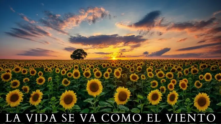 La Vida Se Va Como el Viento: Una Reflexión Bíblica sobre la Brevedad de la Existencia - Donde dice la Biblia que la vida es como neblina la vida se va como el viento biblia - Donde dice la Biblia que la vida es como neblina