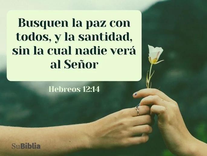 ¿Dónde Dice la Biblia que Somos Santos? - Donde dice la Biblia que somos santificados donde dice la biblia que somos santos - Donde dice la Biblia que somos santificados